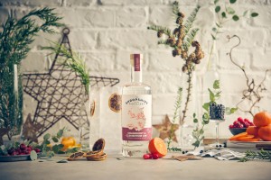 Our Christmas Gift Guide for Gin Lovers