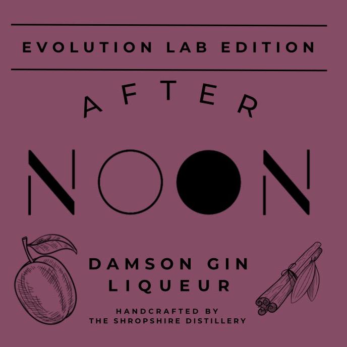 AFTER NOON Damson Gin Liqueur